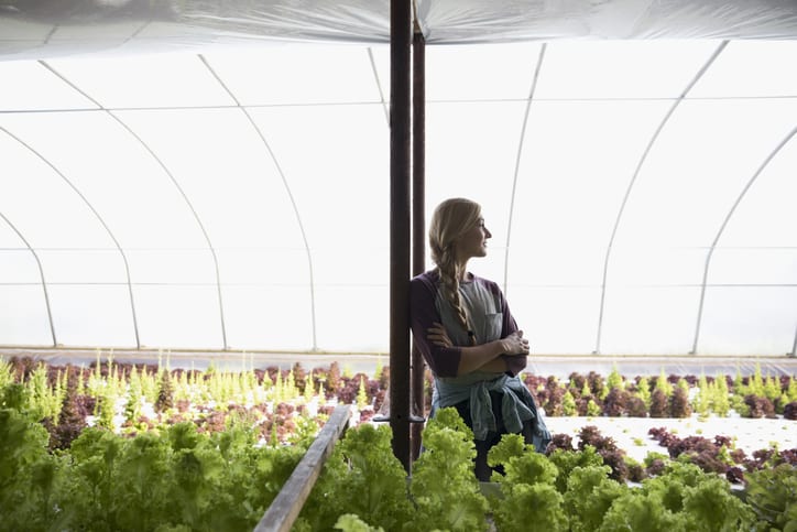 E.E.S. Inc. | woman farmer in greenhouse looking towards the sunlight